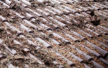 Dryhope roof cleaning companies