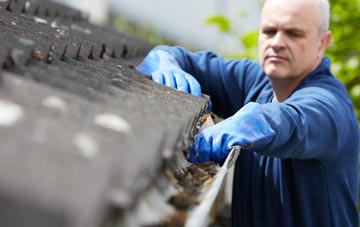 cleaning and inspecting Dryhope roofs