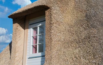Dryhope thatch roof disadvantages